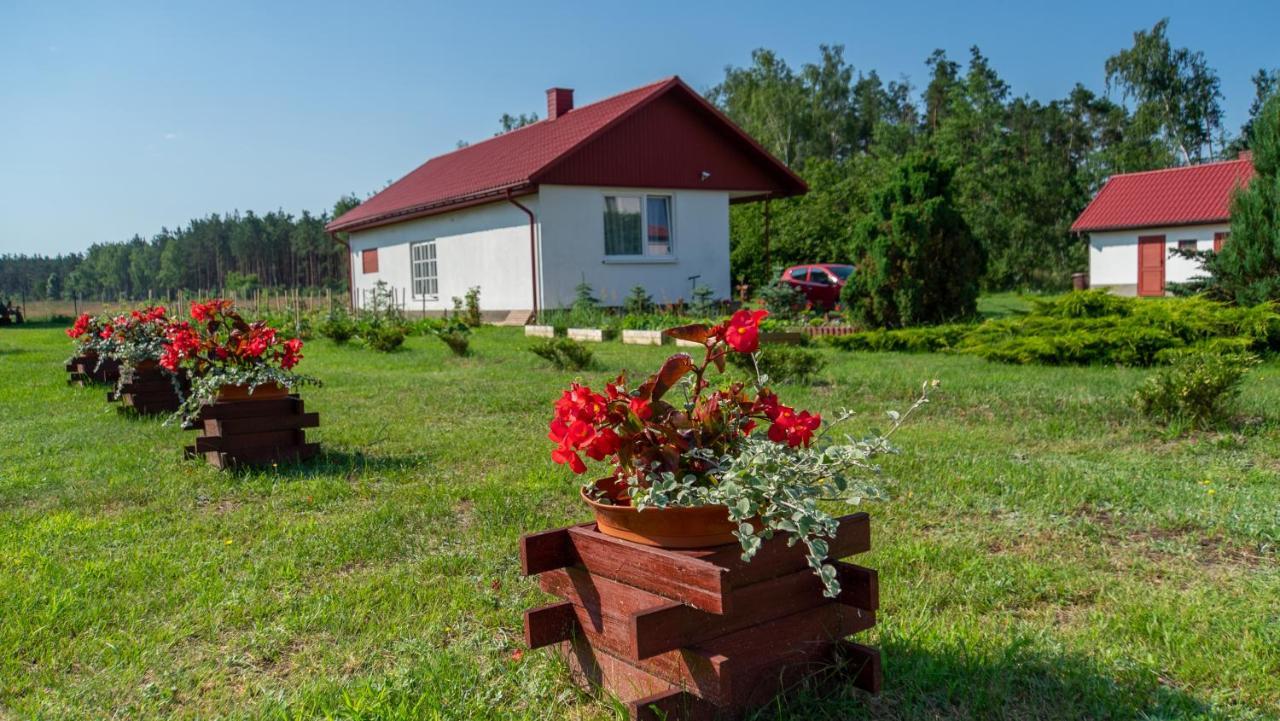 Siedlisko Pod Lasem Zwierzyniec Exteriér fotografie