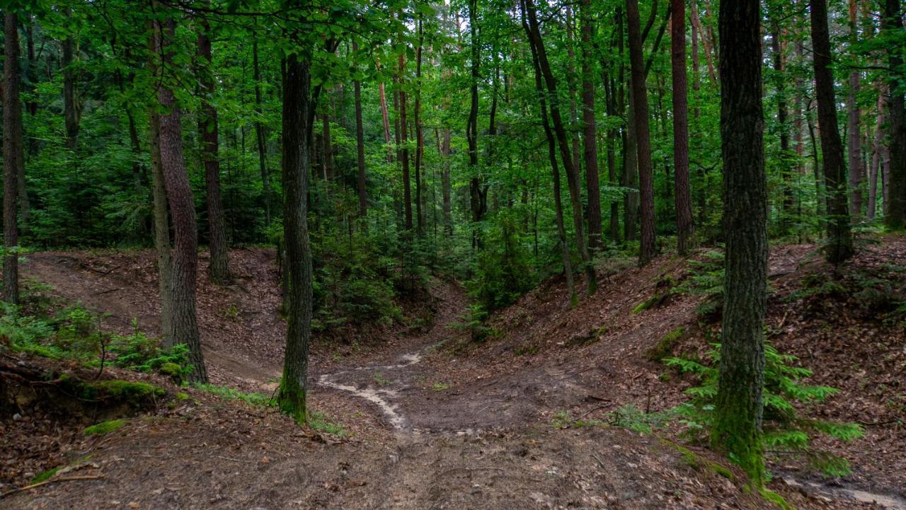 Siedlisko Pod Lasem Zwierzyniec Exteriér fotografie